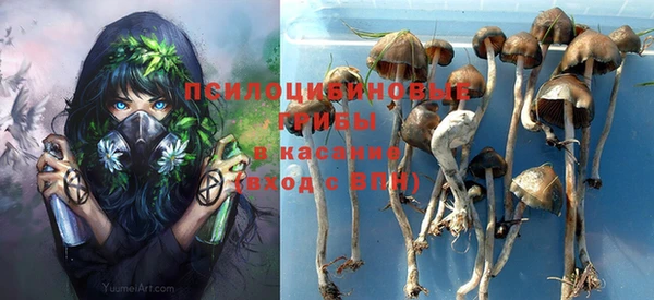 винт Абаза