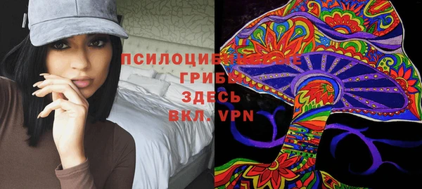 винт Алзамай