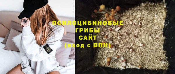 стаф Абинск