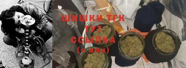 стаф Абинск