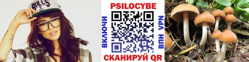 Псилоцибиновые грибы Magic Shrooms  Раменское 